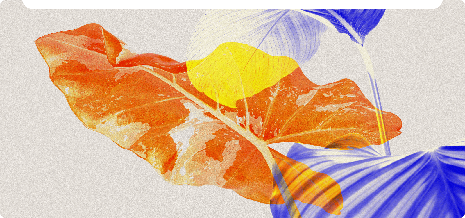 وصف الصورة بالذكاء الاصطناعي لإعادة إنشاء الأعمال الفنية